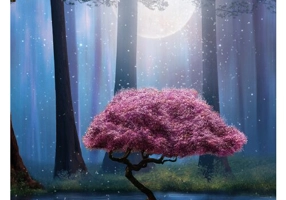 Vindeca-ti ranile din familie