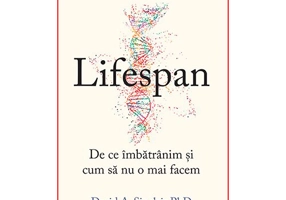 Lifespan