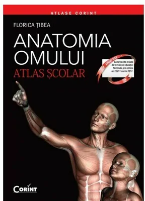 Anatomia omului. Atlas scolar