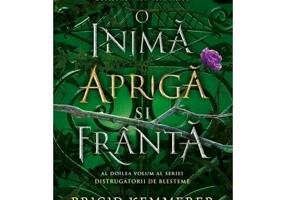 O inima apriga si franta. Seria Distrugatorii de blesteme, Vol. 2