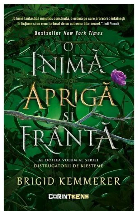 O inima apriga si franta. Seria Distrugatorii de blesteme, Vol. 2