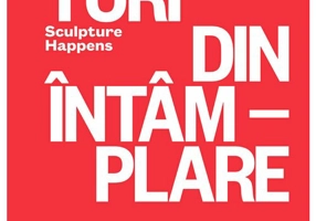 Sculpturi din intamplare