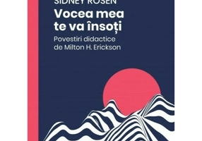 Vocea mea te va insoti