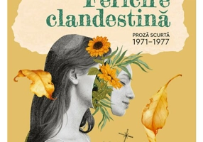 Fericire clandestina