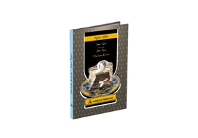 Jane Eyre. Editie bilingva (romana – engleza)