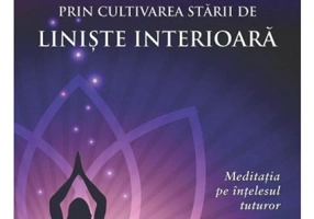 Bucura-te de succes prin cultivarea starii de liniste interioara