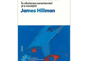 Codul sufletului. In cautarea caracterului si a vocatiei - James Hillman