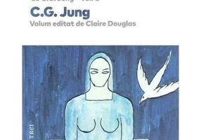 Viziuni. Note ale seminarului sustinut intre 1930 si 1934. Vol.1