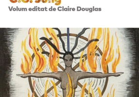 Viziuni. Note ale seminarului sustinut intre 1930 si 1934 de C.G. Jung – vol. 2