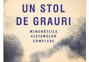 Un stol de grauri. Minunatiile sistemelor complexe