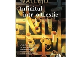 Infinitul intr-o trestie