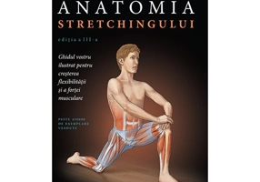 Anatomia stretchingului