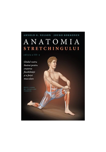 Anatomia stretchingului