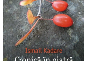 Cronica in piatra. Vremea nebuniei