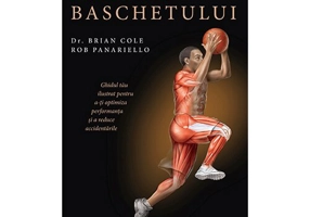 Anatomia baschetului