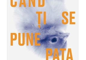 Cand ti se pune pata