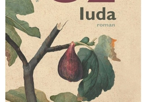 Iuda