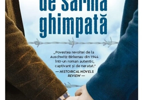 Dincolo de sarma ghimpata