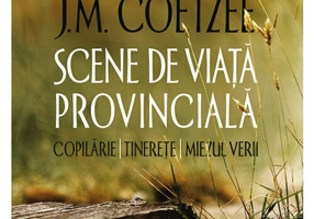 Scene de viata provinciala