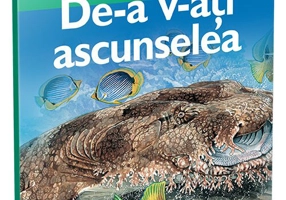 De-a v-ati ascunselea • nivelul 3