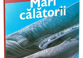 Mari calatorii • nivelul 4
