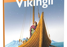 Vikingii • nivelul 1