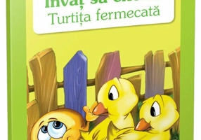 Turtita fermecata