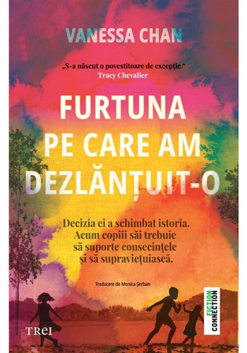 Furtuna pe care am dezlantuit-o