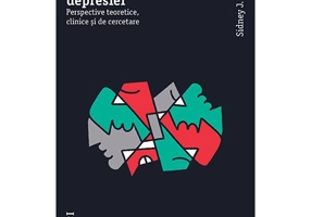 Experientele depresiei. Perspective teoretice, clinice si de cercetare