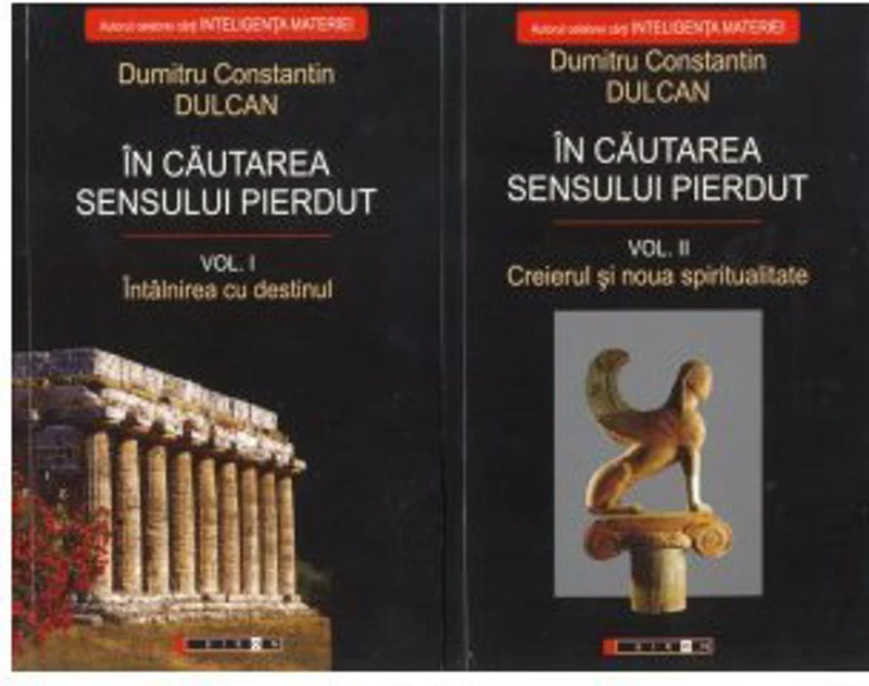 In cautarea sensului pierdut (2 Volume)
