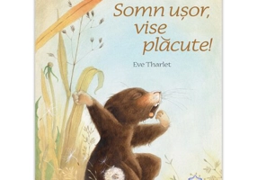 Somn usor, vise placute