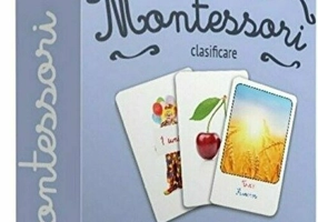 Montessori. Clasificare. Anotimpuri