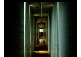 Bolile sufletesti si vindecarea lor