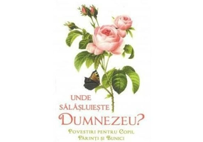 Unde salasluieste Dumnezeu - Povestiri pentru copii parinti si bunici