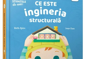 Ce este ingineria structurala