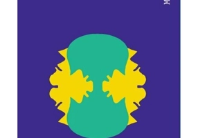 Mitul terapeutului netulburat