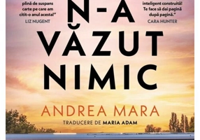 Nimeni n-a vazut nimic