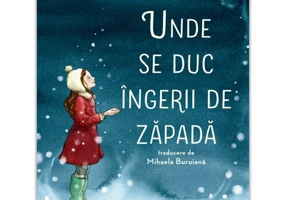 Unde se duc ingerii de zapada