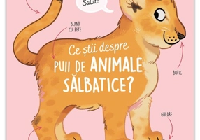 Ce stii despre puii de animale salbatice?