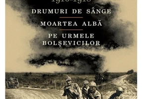 Campania anilor 1916-1918