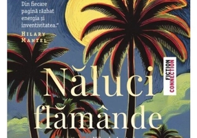 Naluci flamande
