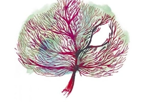 Cancerul, dragostea mea