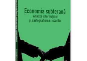 Economia subterana: analiza informatiilor si cartografierea riscurilor