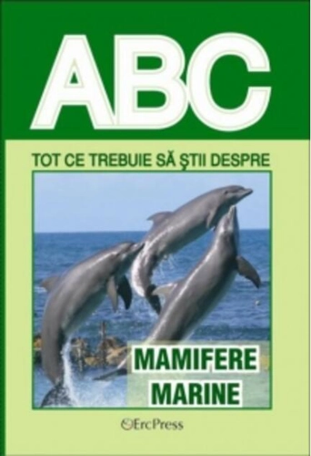 Tot ce trebuie să știi despre mamifere marine