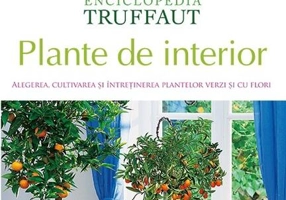 Plante de interior