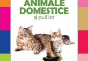 Animale domestice și puii lor