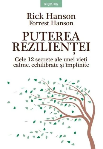 Puterea rezilienței