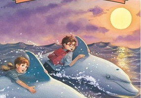 Salvați de delfini (Vol. 9)