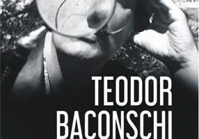 Efectul de lupă. Câteva priviri asupra culturii contemporane