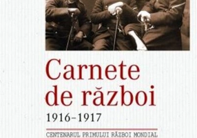 Carnete de război 1916-1917